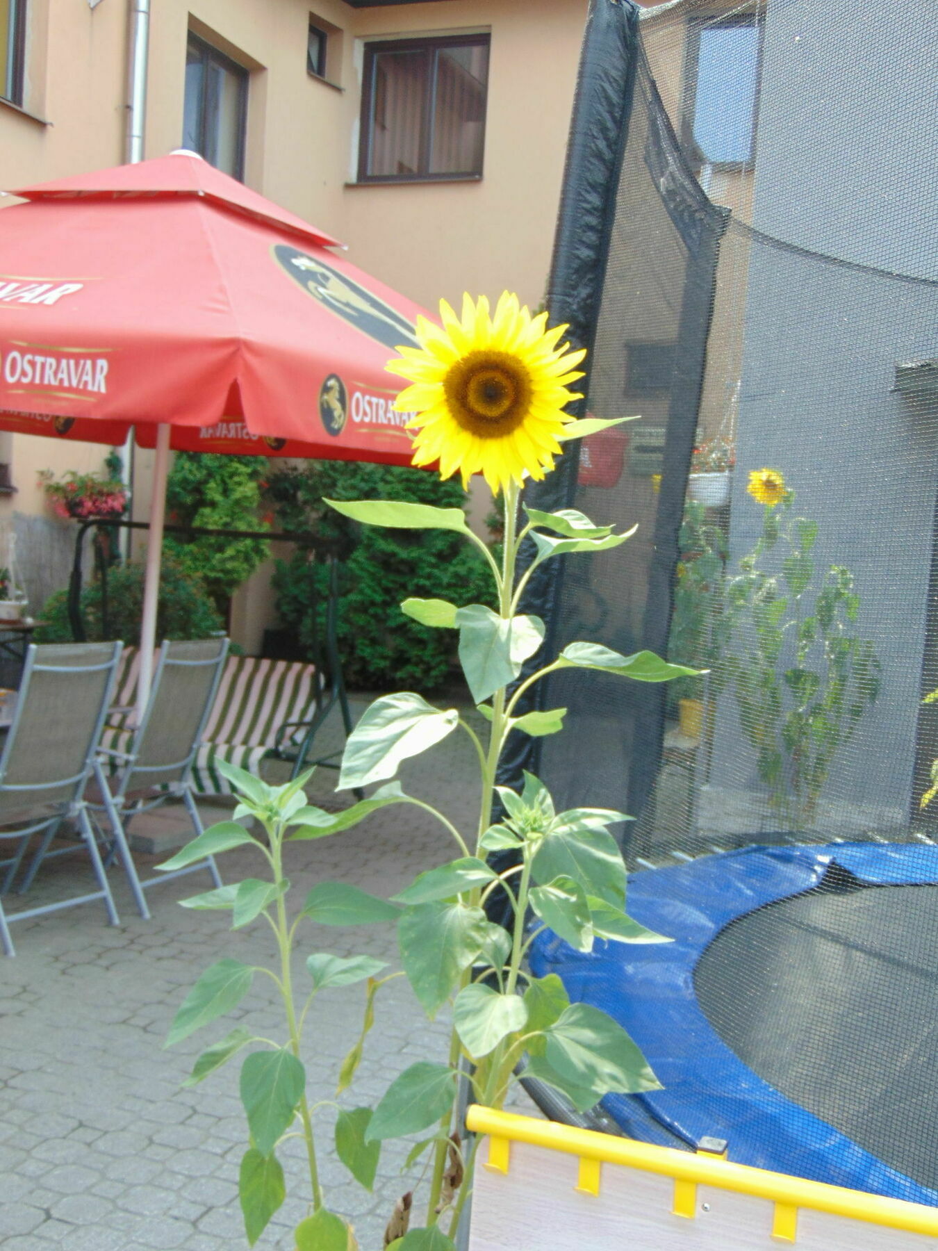 Hotel Isora Ostrava Luaran gambar